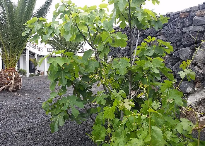 Fajardo Séjour à la campagne