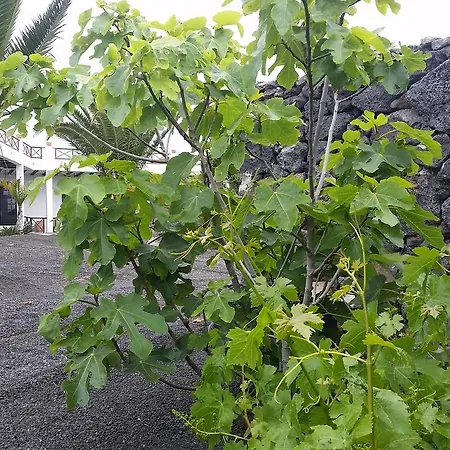 Fajardo カントリーハウス